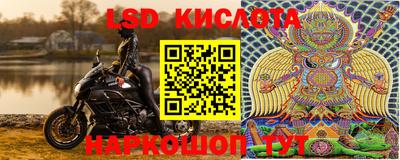 сатива Донецк