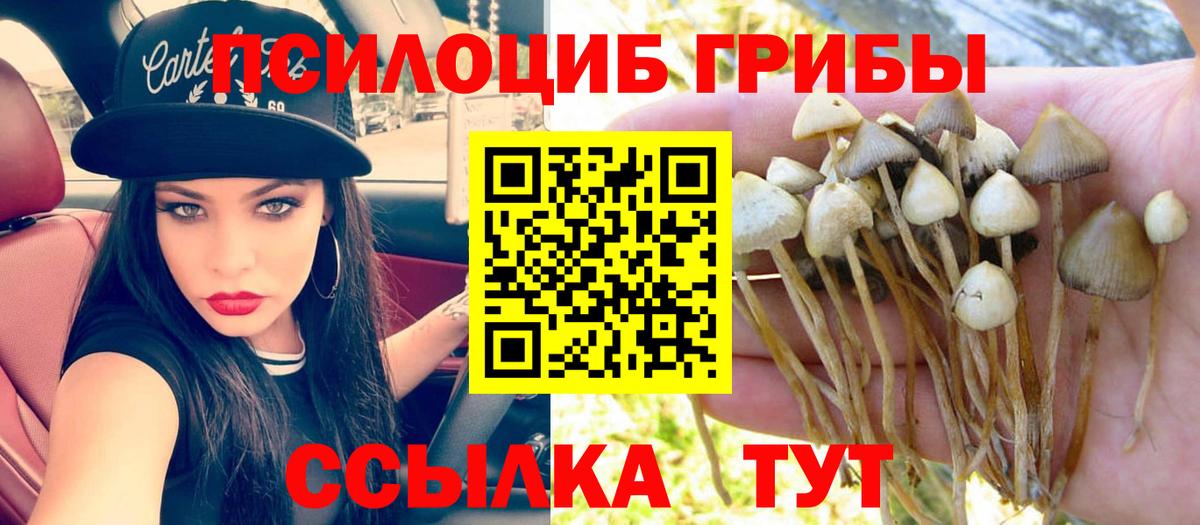 Псилоцибиновые грибы мухоморы Чехов